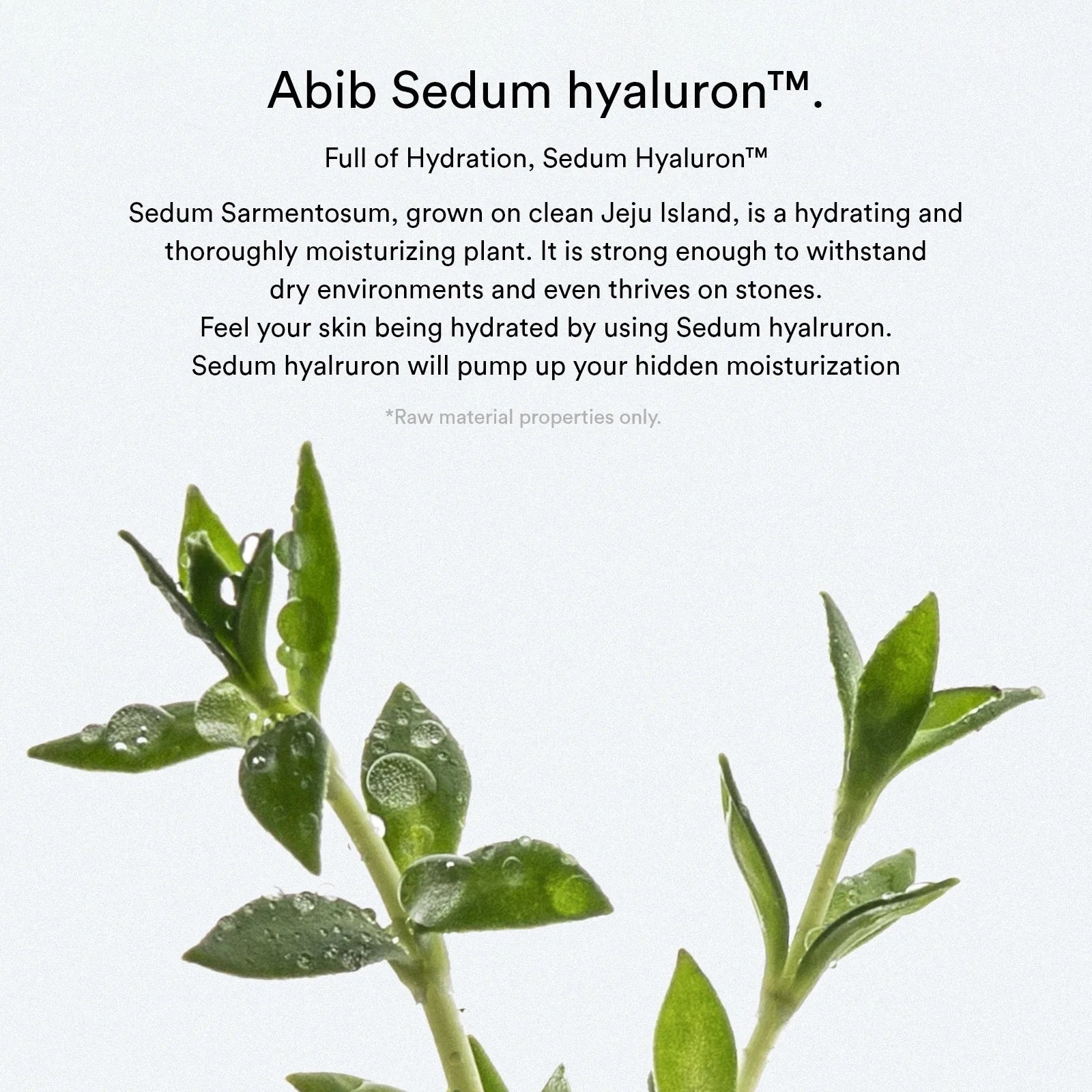 [Abib] Sedum hyaluron pad Hydrating touch - 165ml. 75 pads image 3
