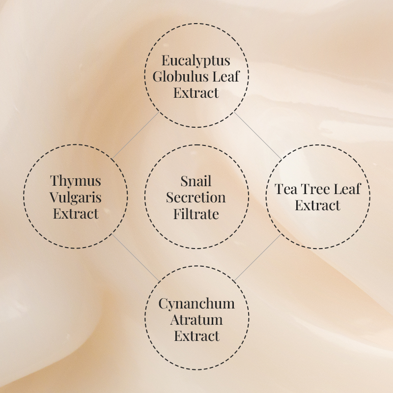 [Coeur] Ghost Repair Cream 50ml image 4