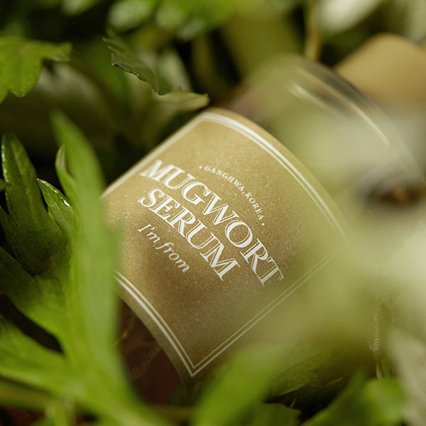[ImFrom] Mugwort Serum 30ml image 5